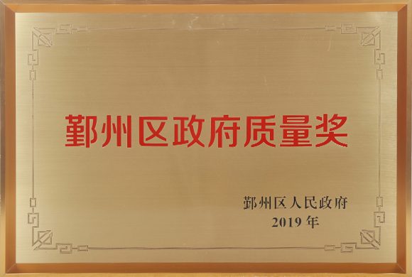 Government Quality Award