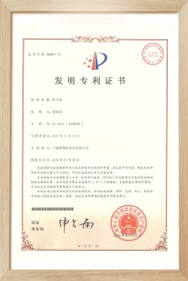 Invention patent (Lobe pump)