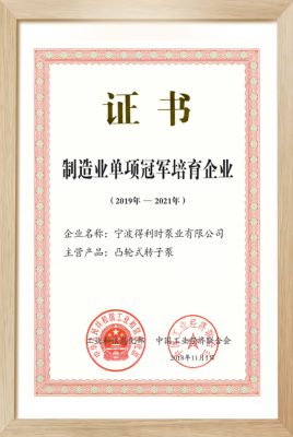 National Single Champion of Manufacturing Industry